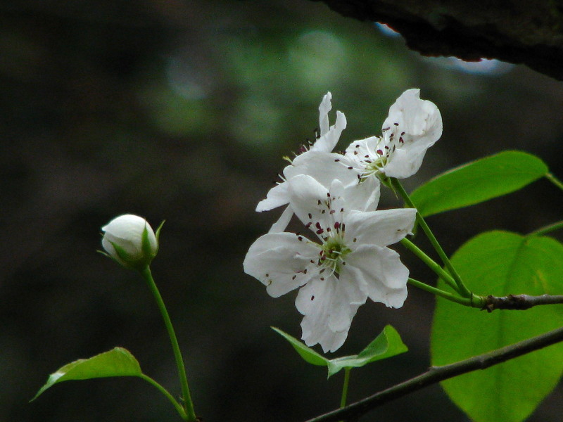 d0024426_91235.jpg