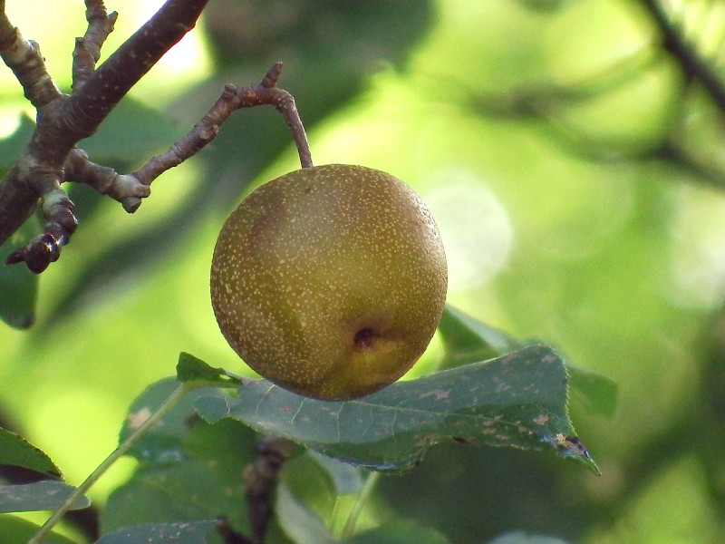 d0024426_91611.jpg