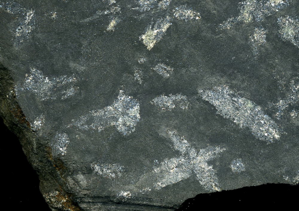 d0045626_19334449.jpg