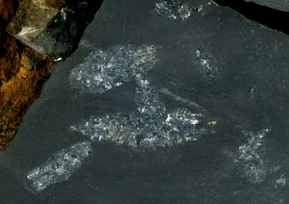 d0045626_19371301.jpg