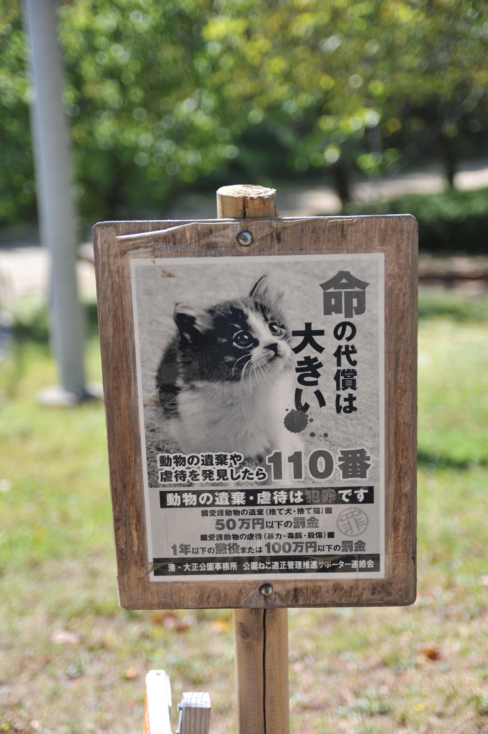 b0069128_16233390.jpg