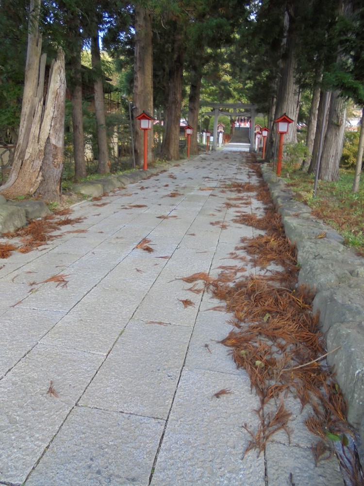 第5回遠野郷八幡宮旗争奪グラウンドゴルフ大会_c0111229_183204.jpg