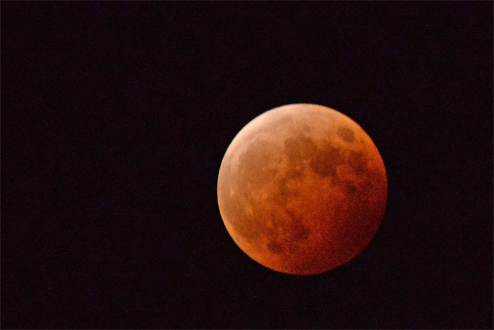 d0029829_54697.jpg