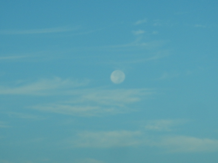 a0248230_18491868.jpg