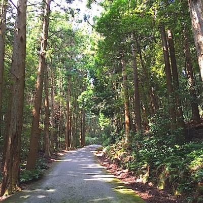伊雑宮へ〈7〉天岩戸と猿田彦_a0300530_12115983.jpg