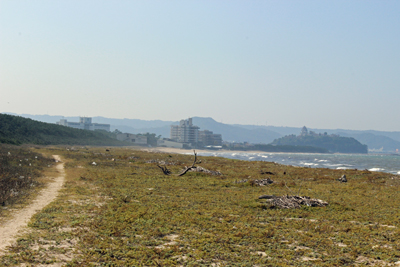 a0129233_1741258.jpg