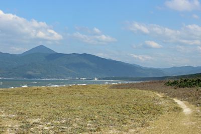 a0129233_174396.jpg
