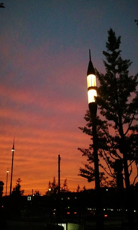 c0195134_2035584.jpg