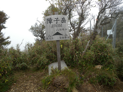 e0272335_21942.jpg