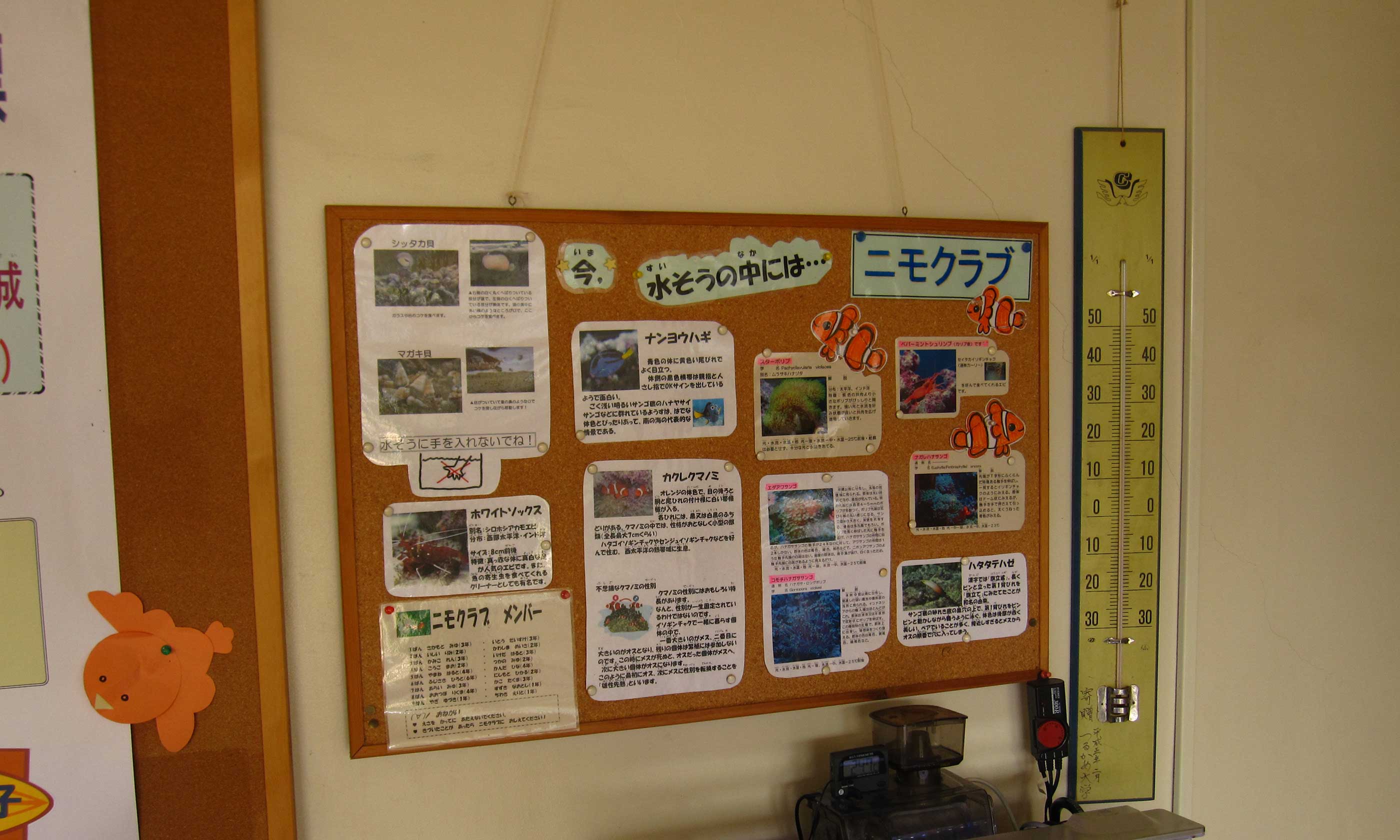 市内の小学校へ。_d0221436_2225061.jpg