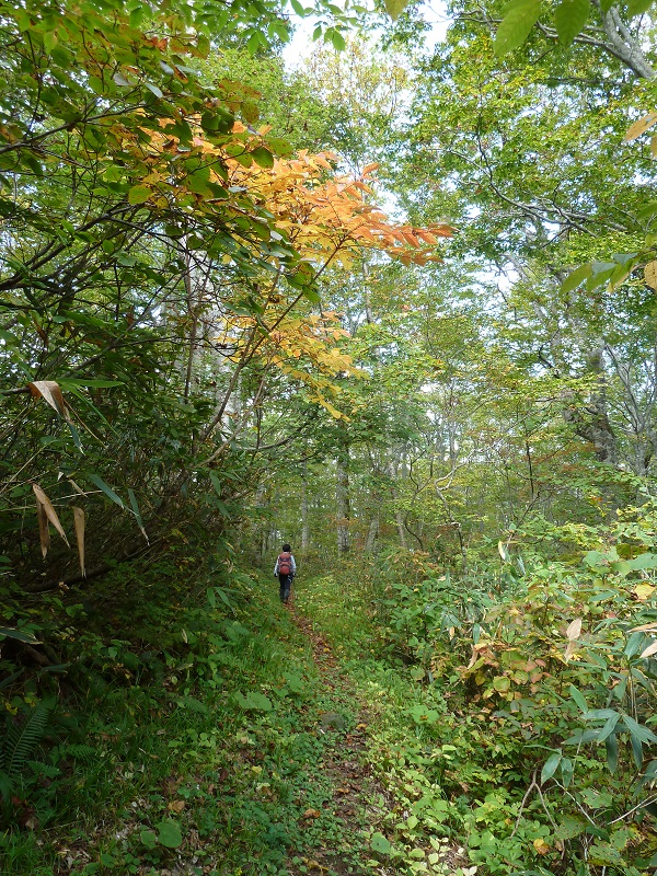 d0288144_22204152.jpg