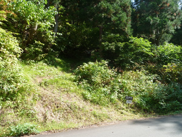 d0288144_22230924.jpg