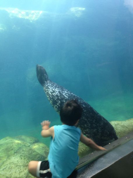 ロングビーチの水族館_c0157348_5161352.jpg