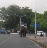 c0339249_15554484.jpg