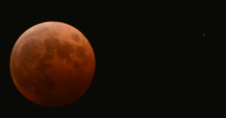 a0055650_2564195.jpg