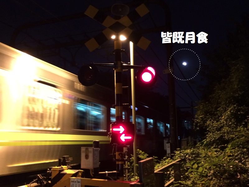 c0121550_1637728.jpg