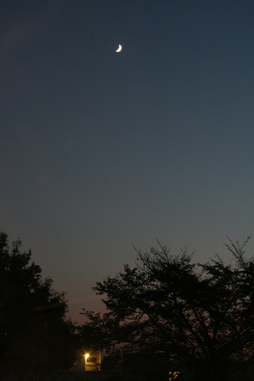 e0126350_11262881.jpg