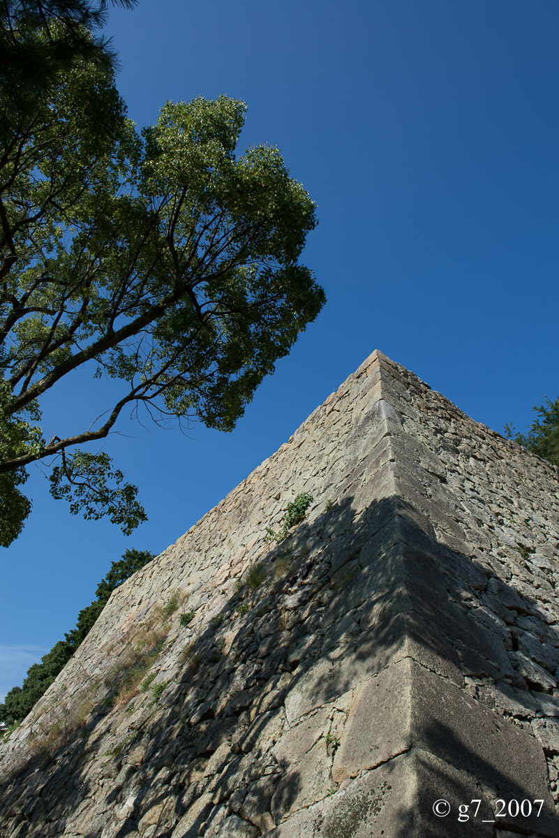 f0152550_2365061.jpg