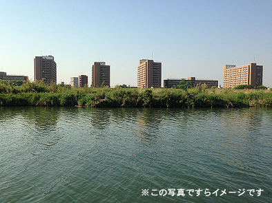 b0177760_42615.jpg