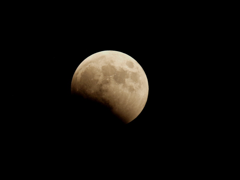 f0208666_16365628.jpg