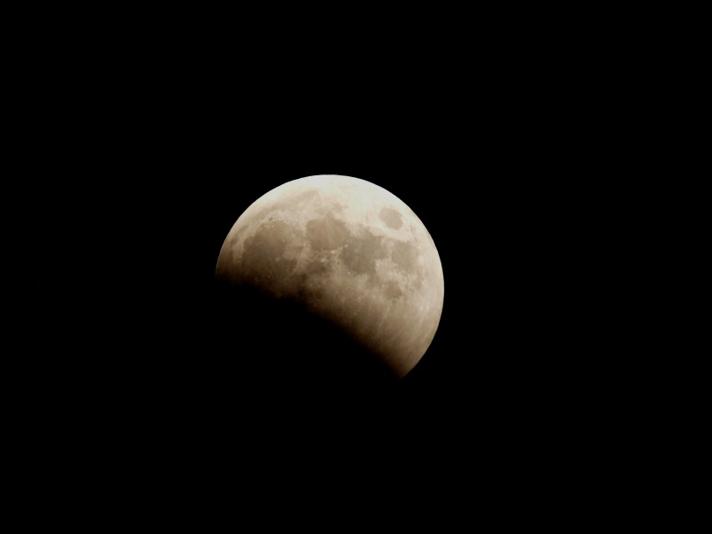 f0208666_16374070.jpg