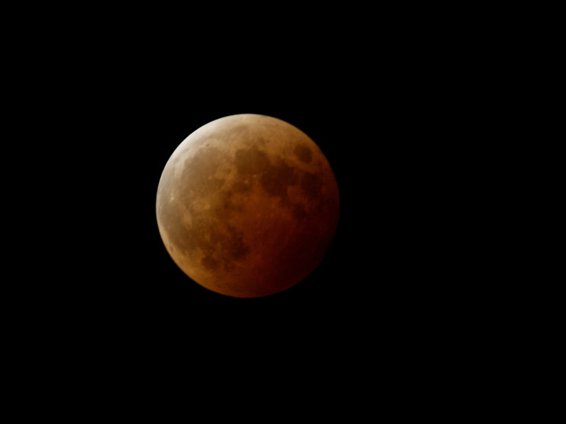 f0208666_1645146.jpg