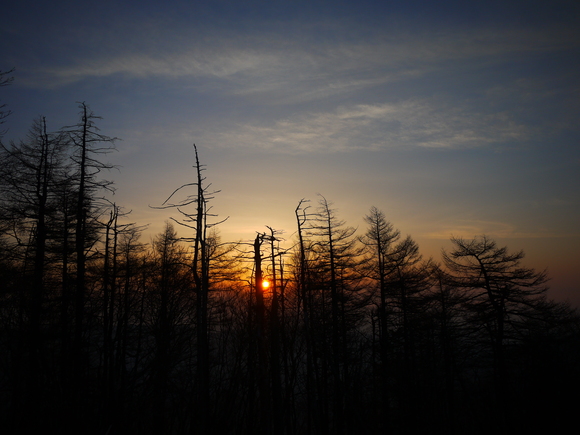 e0244967_20131227.jpg