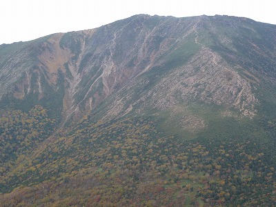 e0160568_1616832.jpg