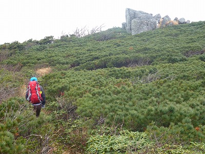 山登り　～薬師岳～_e0160568_16252914.jpg