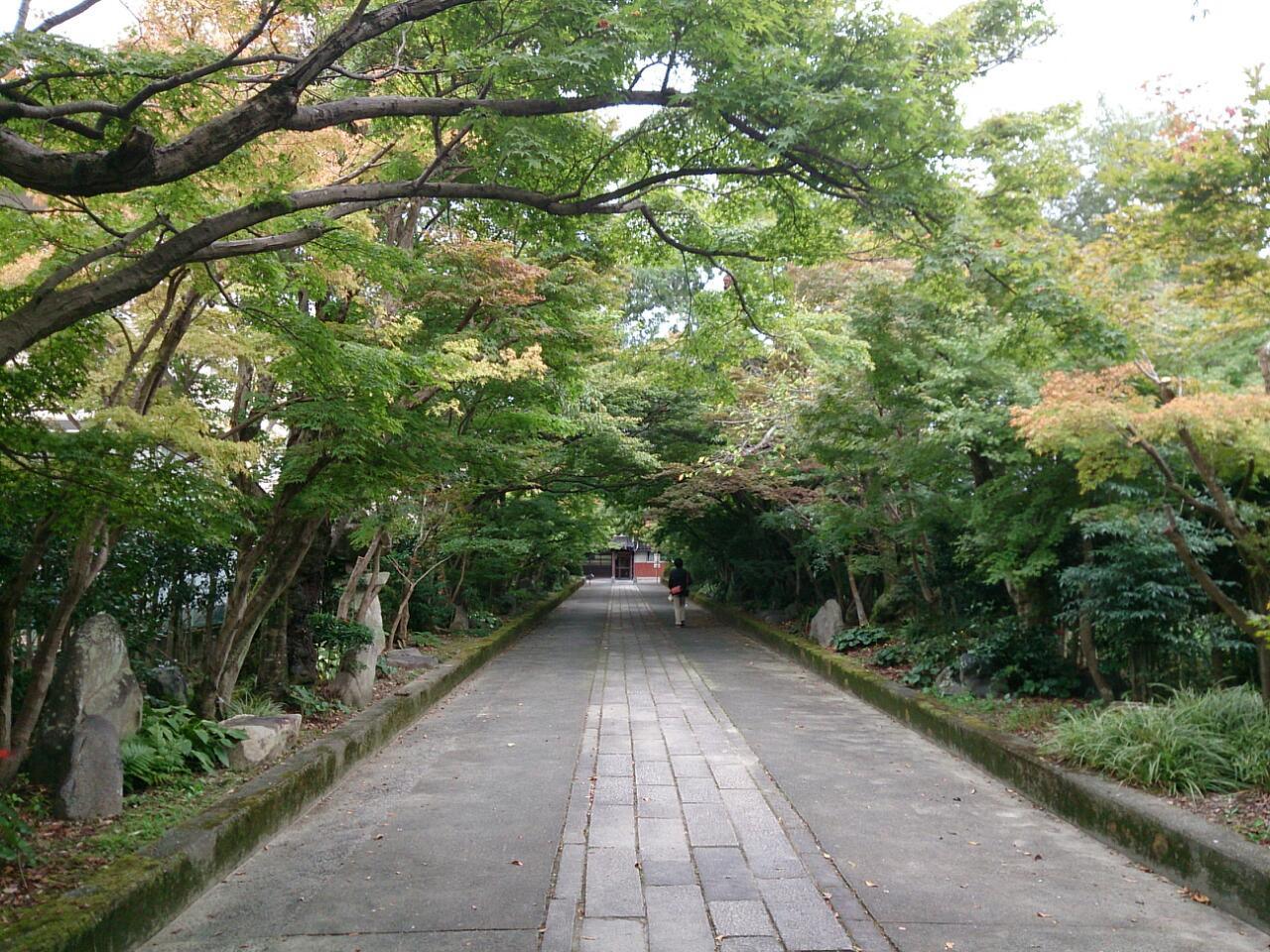 2014年アートふる山口_c0150273_23575164.jpg