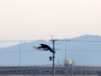 b0057675_21613.jpg