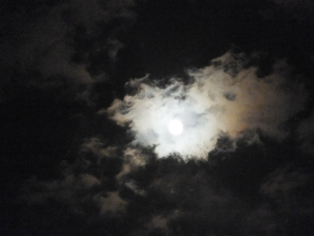 月_c0201876_10341260.jpg