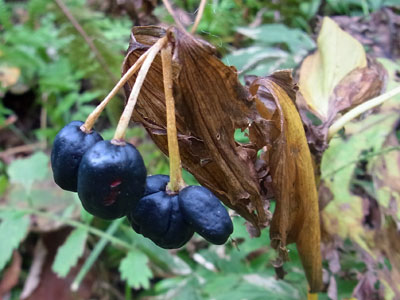 f0083977_2202889.jpg