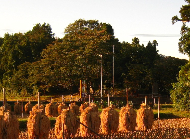 三角山④―観音山③―山口庄右衛門重久碑②_a0087378_7101387.jpg