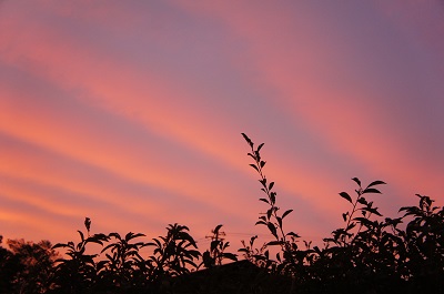 今日の空【2014/10/10】_d0179679_2259373.jpg