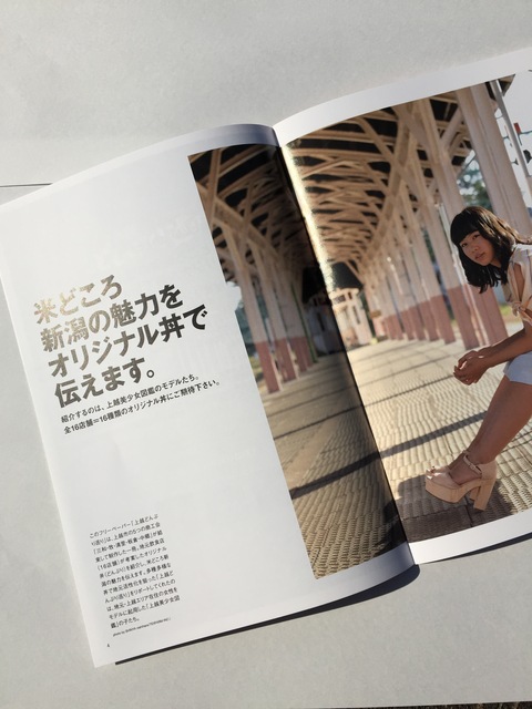上越どんぶり巡り「食べ歩きスタンプラリー」始まりました。_d0182179_19434774.jpg