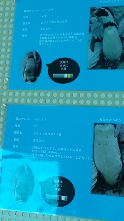 f0228680_9243325.jpg