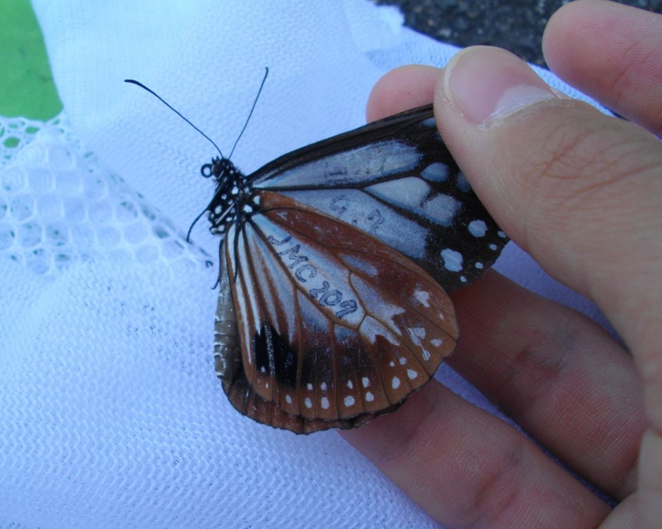 f0346184_22352128.jpg
