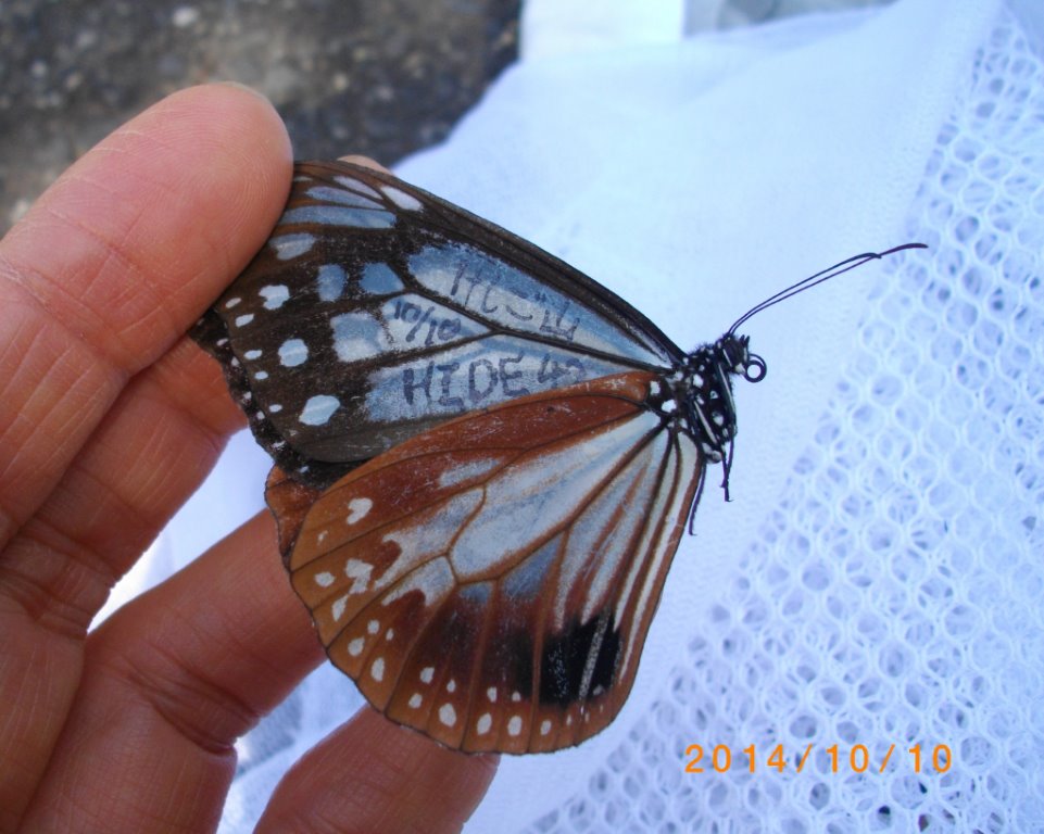 f0346184_22354622.jpg