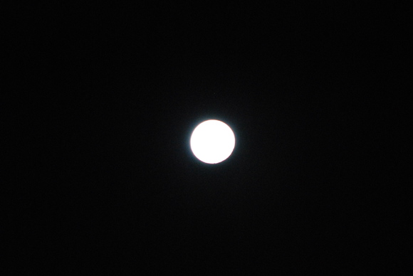 c0301085_9181056.jpg