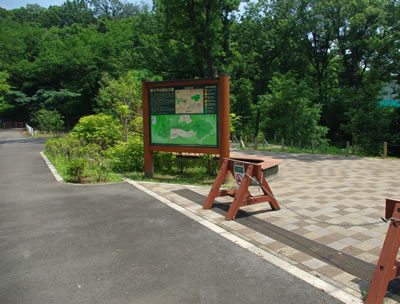 b0123486_9392992.jpg