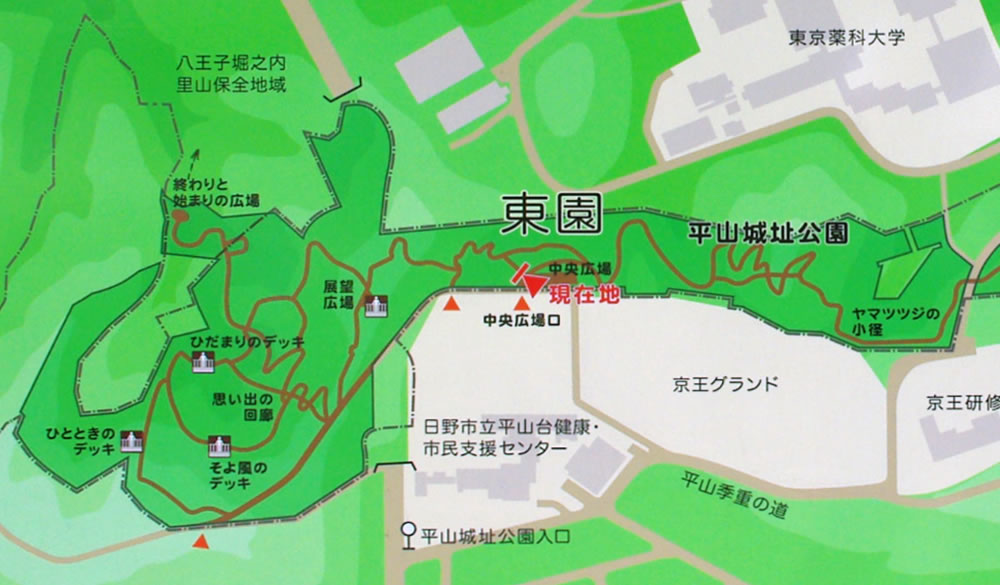 b0123486_942757.jpg