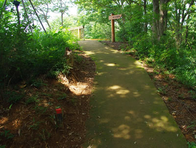 b0123486_9444819.jpg
