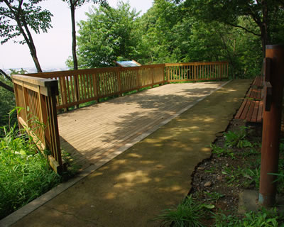 b0123486_9461243.jpg