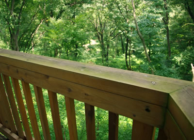 b0123486_9504277.jpg
