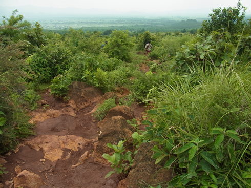 a0207588_20563627.jpg