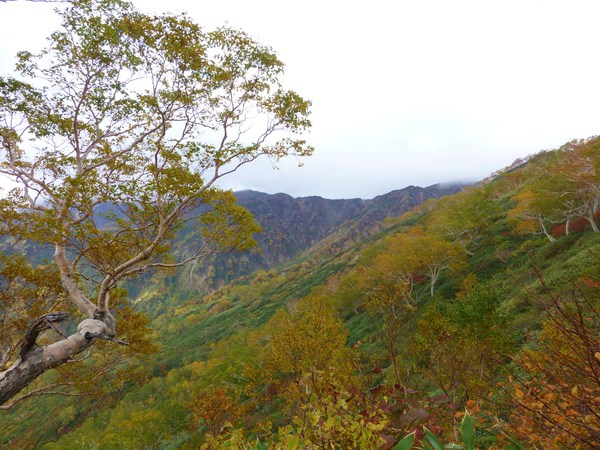 登山：白山平瀬道_d0182188_22541536.jpg