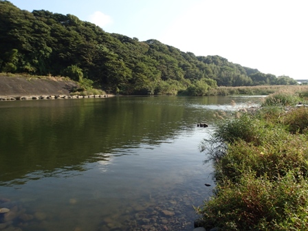 大分県　川バス　レポート_e0052088_1622579.jpg