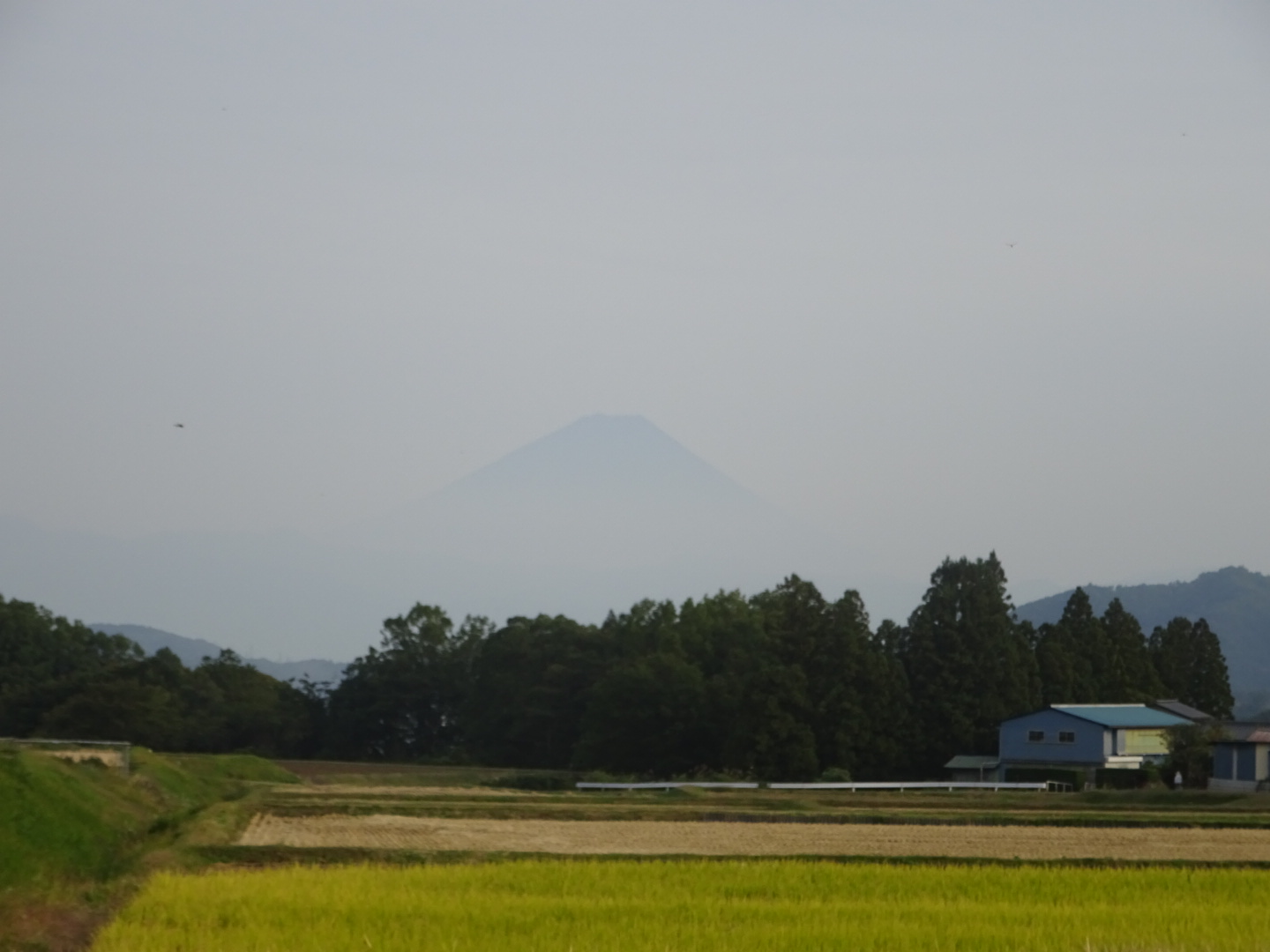 山里歩きマシタ_e0222588_20265491.jpg