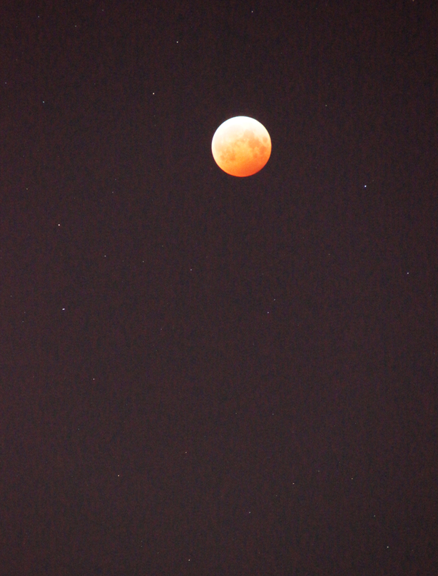 2014年 皆既月食_c0139591_1623171.jpg
